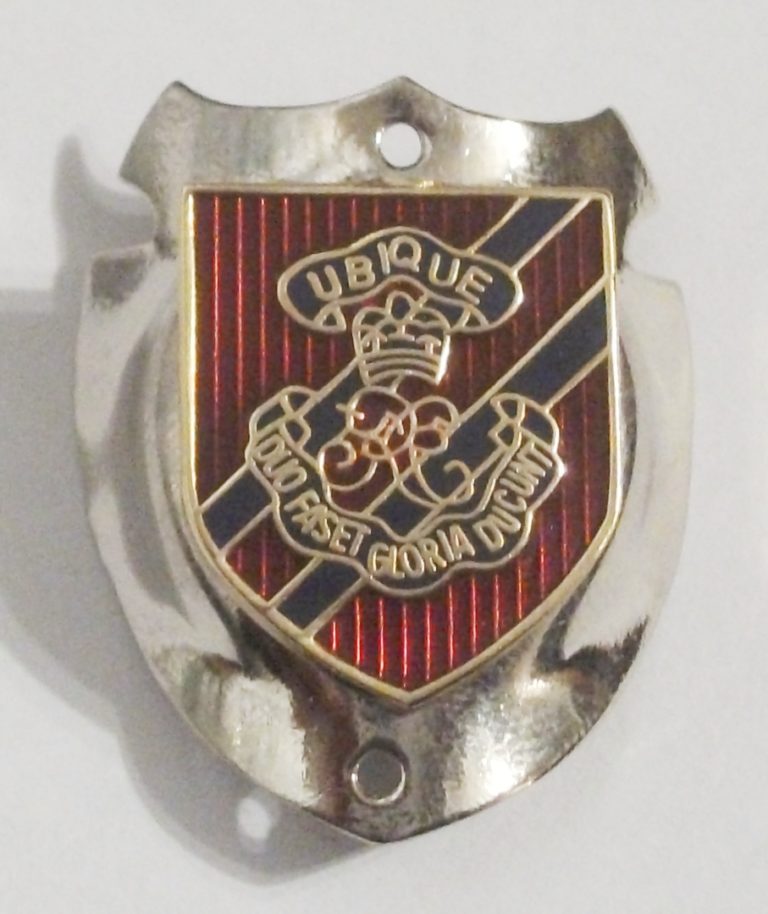 ROYAL ENGINEERS OFFICERS BRITISH ARMY LAPEL PIN OR WALKING STICK MOUNT