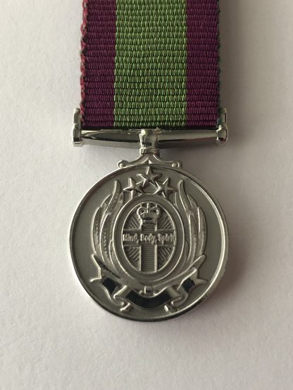 International nursing medal